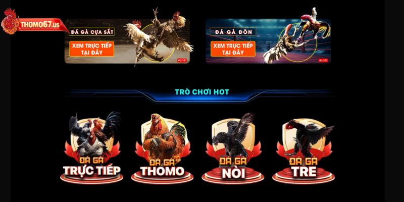 Link vào Thomo67 truy cập cổng game an toàn