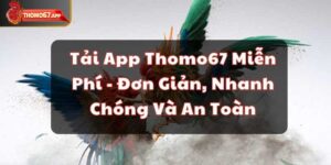 Tải App Thomo67 Miễn Phí - Đơn Giản, Nhanh Chóng Và An Toàn