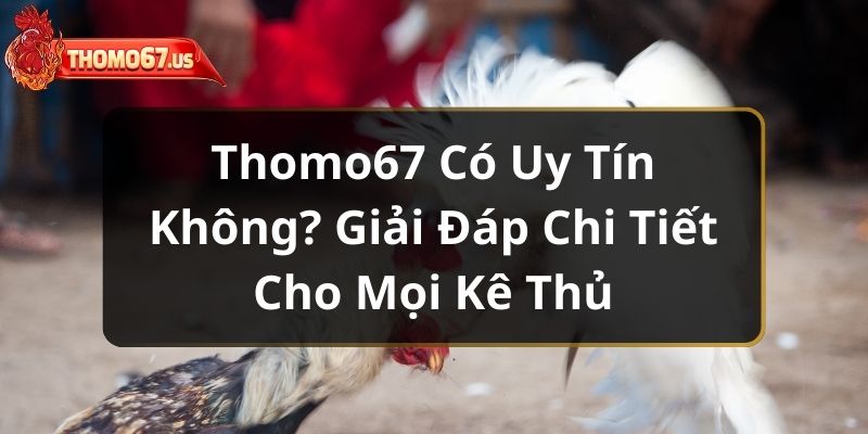 thomo67-co-uy-tin-khong