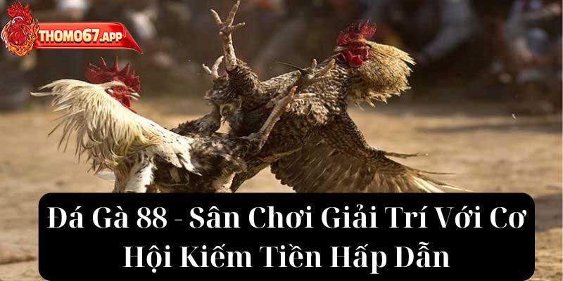 Đá Gà 88 – Sân Chơi Giải Trí Với Cơ Hội Kiếm Tiền Hấp Dẫn