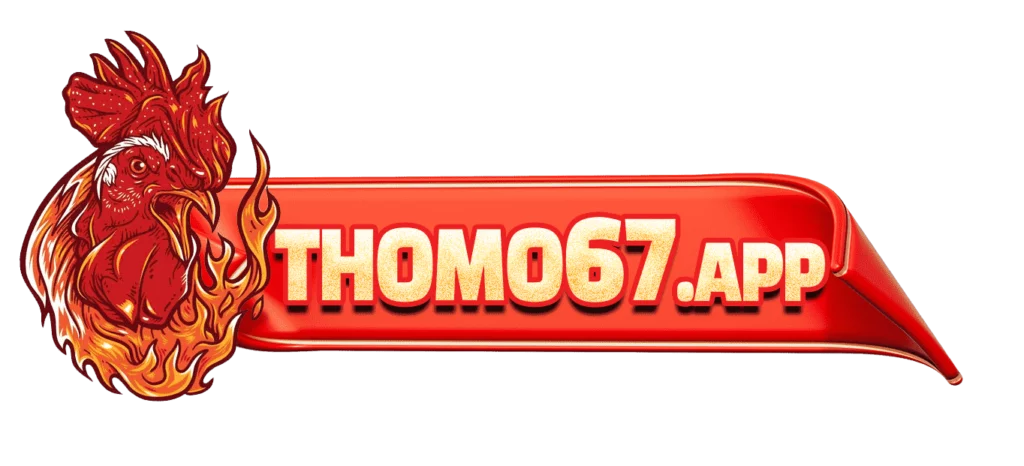 thomo67.app